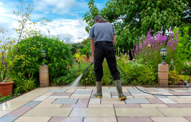 Best Spring Cleaning  in Plainfield, IL
