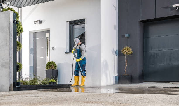 Best Dumpster Area Cleaning  in Plainfield, IL